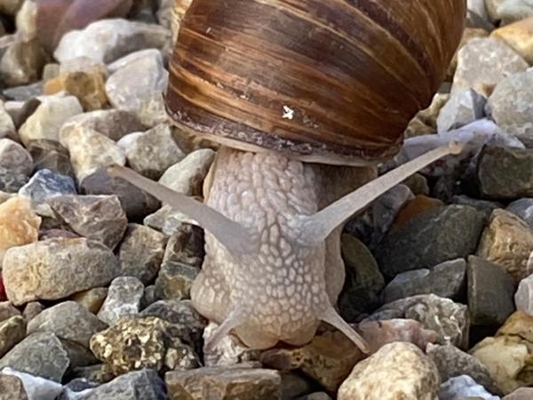 Les Chambres de l'Imprimerie : photo 4 de la chambre maison 3 chambres