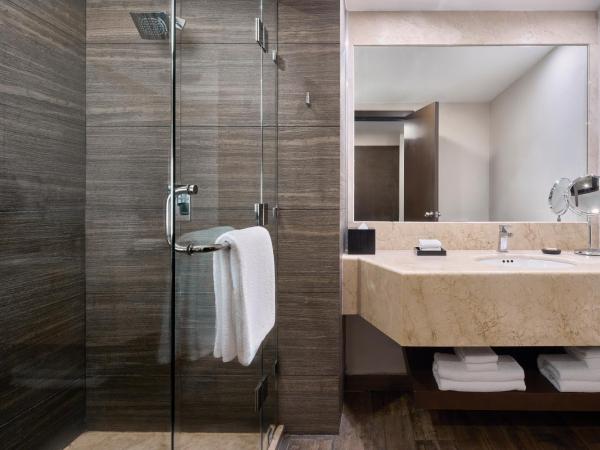 Hyatt Regency Merida : photo 2 de la chambre suite lit king-size