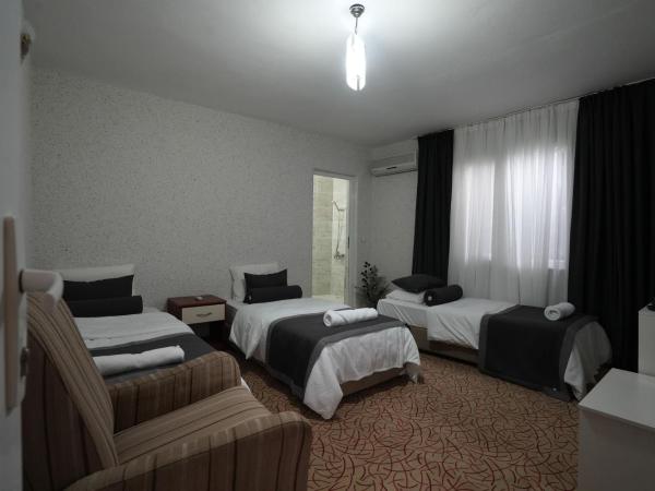 OzenTurku Hotel : photo 3 de la chambre chambre triple