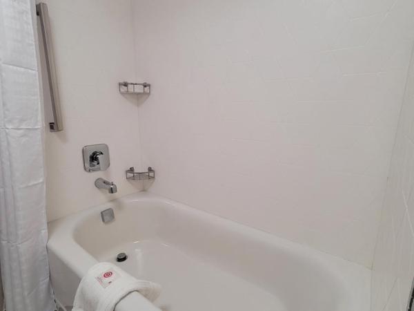 Comfort Inn & Suites Near Universal Orlando Resort-Convention Ctr : photo 6 de la chambre suite lit king-size avec canapé-lit - non-fumeurs