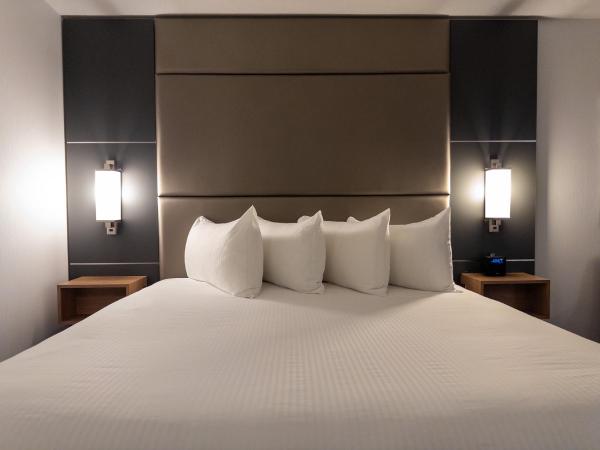 Carriage House Hotel and Conference Centre : photo 1 de la chambre chambre lit king-size premium - récemment rénovée