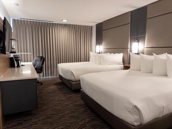Carriage House Hotel and Conference Centre : photo 4 de la chambre chambre premium avec 2 lits queen-size - récemment rénovée