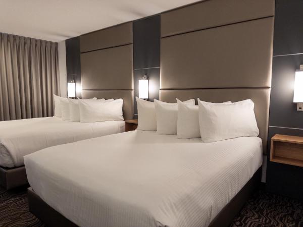 Carriage House Hotel and Conference Centre : photo 5 de la chambre chambre premium avec 2 lits queen-size - récemment rénovée