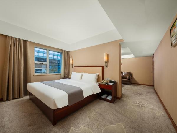 Zhongyi Hotel - Guangzhou Feixiang Park Metro Station Wanda Plaza : photo 3 de la chambre suite affaires