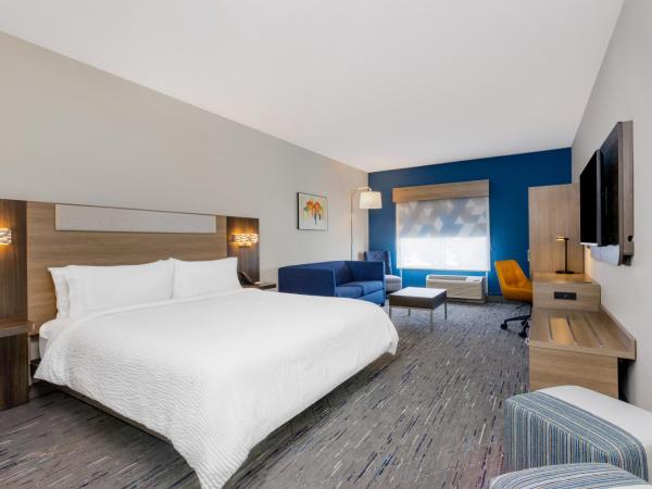 Holiday Inn Express & Suites Tampa Stadium - Airport Area, an IHG Hotel : photo 1 de la chambre suite lit king-size avec douche accessible en fauteuil roulant