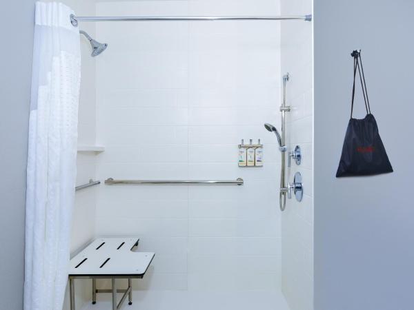 Holiday Inn Express & Suites Tampa Stadium - Airport Area, an IHG Hotel : photo 2 de la chambre suite lit king-size avec douche accessible en fauteuil roulant