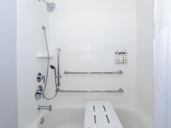 Holiday Inn Express & Suites Tampa Stadium - Airport Area, an IHG Hotel : photo 3 de la chambre suite lit king-size - accessible aux personnes à mobilité réduite