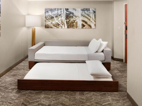 SpringHill Suites by Marriott Virginia Beach Oceanfront : photo 4 de la chambre studio lit king-size