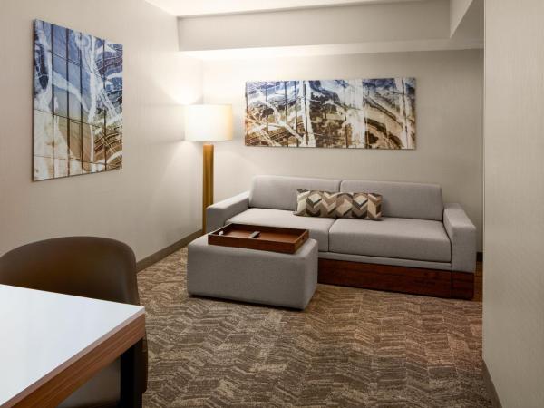 SpringHill Suites by Marriott Virginia Beach Oceanfront : photo 3 de la chambre studio lit king-size