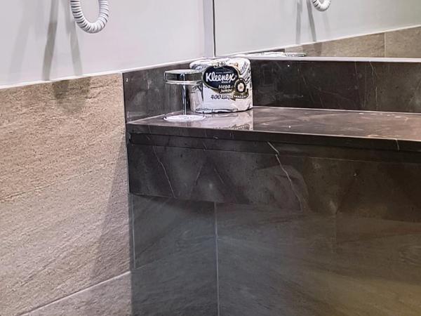 Hotel Royal Reforma : photo 2 de la chambre chambre standard avec 2 lits queen-size