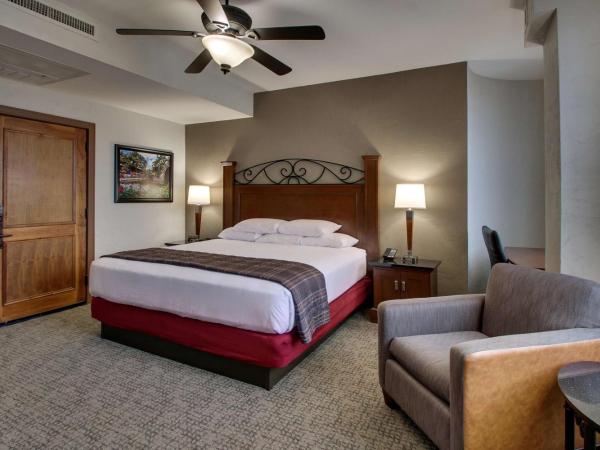 Drury Plaza Hotel San Antonio Riverwalk : photo 3 de la chambre chambre lit king-size deluxe