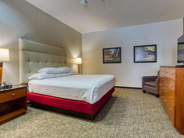 Drury Plaza Hotel San Antonio Riverwalk : photo 7 de la chambre suite lit king-size avec baignoire spa