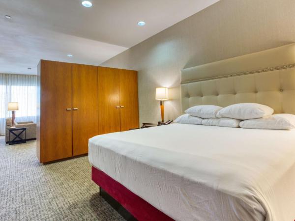 Drury Plaza Hotel San Antonio Riverwalk : photo 8 de la chambre suite lit king-size avec baignoire spa