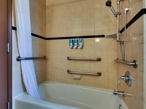 Drury Plaza Hotel San Antonio Riverwalk : photo 5 de la chambre king suite with sofa bed - accessible, tub