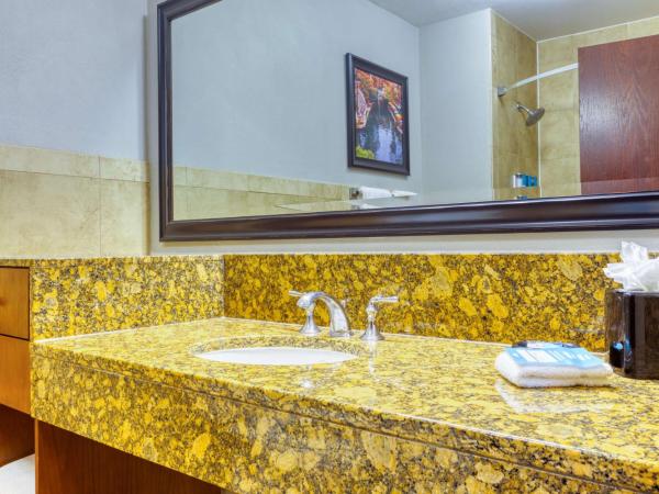 Drury Plaza Hotel San Antonio Riverwalk : photo 4 de la chambre chambre lit king-size deluxe avec canapé-lit