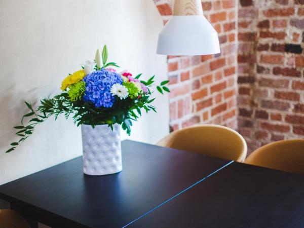 Apartamenty Sowa Toruń : photo 3 de la chambre studio avec kitchenette