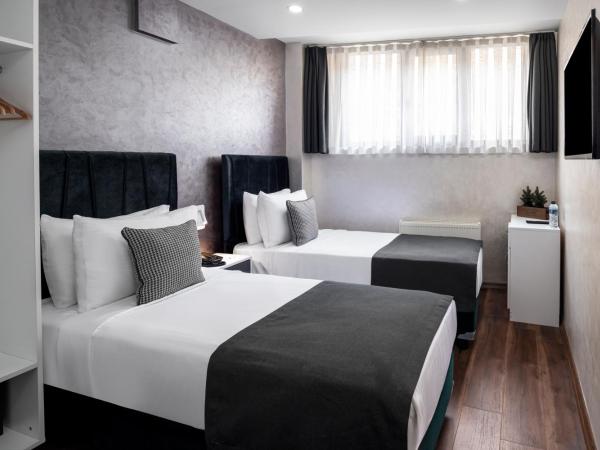İstanbul Efes Hotel : photo 3 de la chambre budget twin room basement