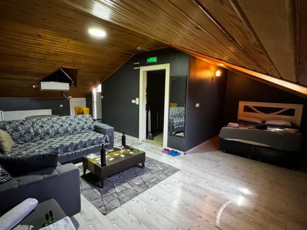 Çınar suit : photo 4 de la chambre appartement