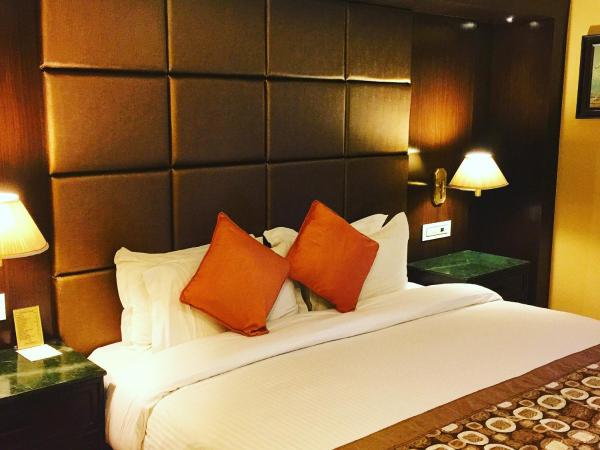 Hotel Shanker-Palatial Heritage Kathmandu : photo 8 de la chambre chambre simple deluxe - enregistrement anticipé et départ tardif (jusqu'à 2 heures de différence)