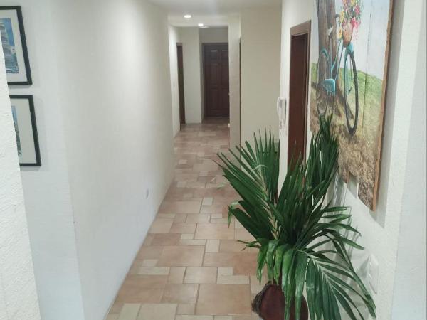 Ave Fénix Hotel and Resort : photo 3 de la chambre suite familiale