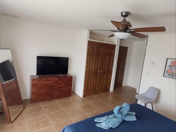 Ave Fénix Hotel and Resort : photo 8 de la chambre suite standard