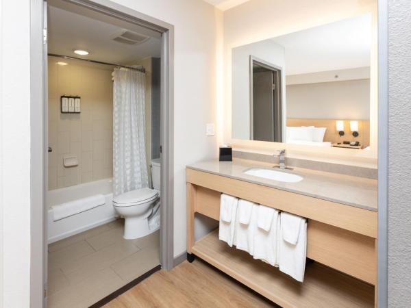 Hyatt Place Charlotte Arrowood : photo 2 de la chambre chambre lit king-size pour personnes à mobilité réduite avec canapé-lit et baignoire adaptée
