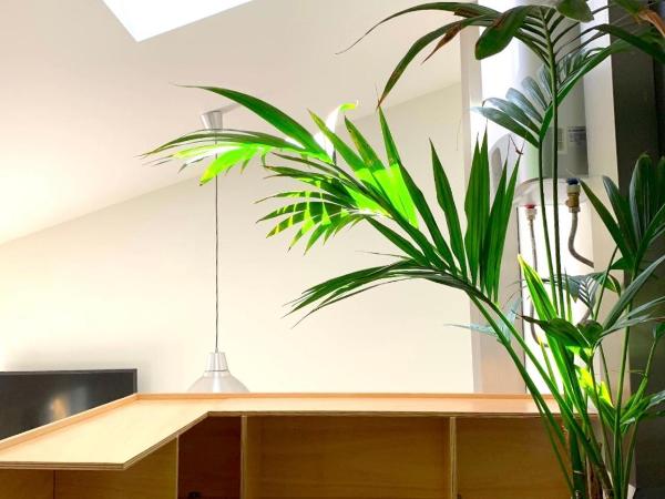 Fred's House Asprela : photo 7 de la chambre maison de vacances