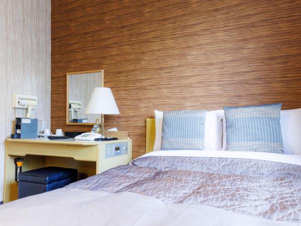 Tabist Hokkaido Daiichi Hotel Sapporo : photo 3 de la chambre chambre simple deluxe