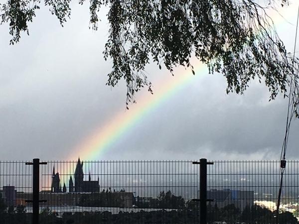 Universal Studios-Hollywood Hills guest suite with King bed : photo 7 de la chambre chambre triple avec salle de bains privative