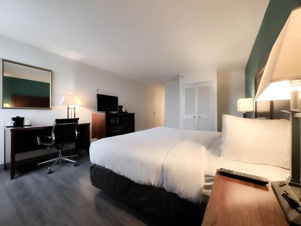 Comfort Inn & Suites Kissimmee by the Parks : photo 7 de la chambre chambre lit king-size deluxe avec canapé-lit