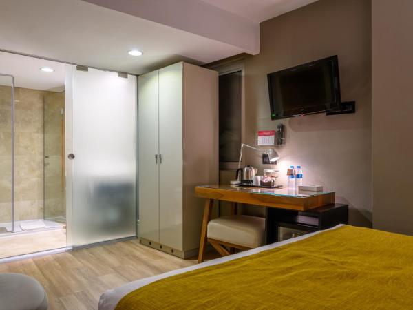 Ramada Istanbul Grand Bazaar : photo 4 de la chambre chambre double ou lits jumeaux Économique 