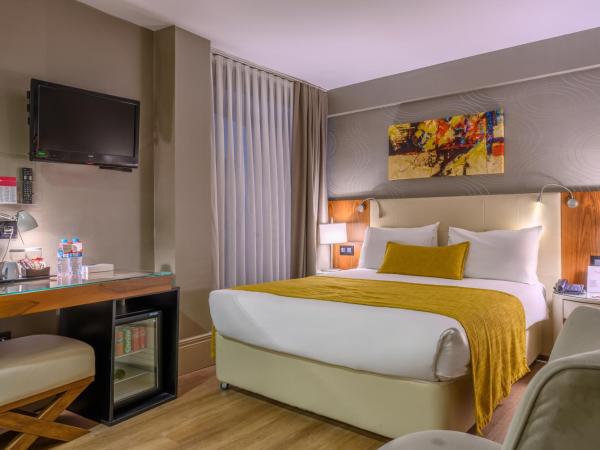 Ramada Istanbul Grand Bazaar : photo 5 de la chambre chambre double ou lits jumeaux Économique 