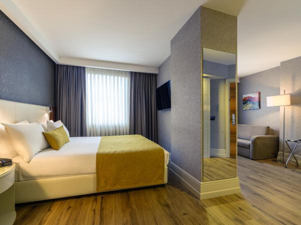 Ramada Istanbul Grand Bazaar : photo 7 de la chambre chambre double deluxe