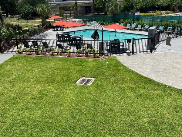 Clarion Inn Orlando International Drive - ICON Park : photo 4 de la chambre chambre lit king-size supérieure - non-fumeurs