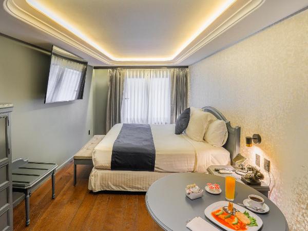 Hive Mexico City by G Hotels : photo 3 de la chambre chambre double supérieure