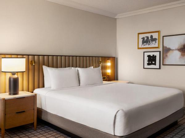 Crowne Plaza Louisville Airport Expo Ctr, an IHG Hotel : photo 1 de la chambre chambre standard