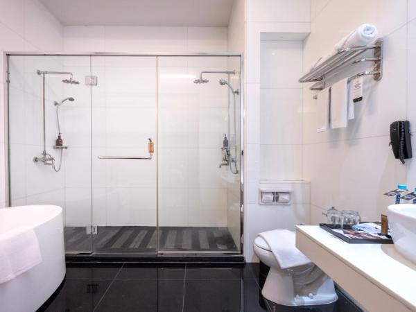 Merlynn Park Hotel : photo 4 de la chambre grande chambre double