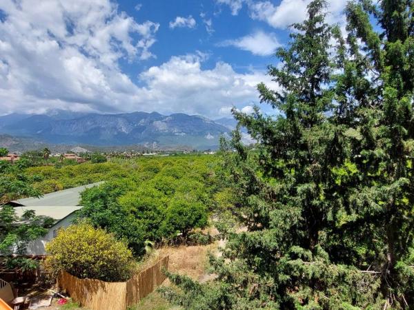 UK Hotel Kiriş : photo 8 de la chambre chambre double standard