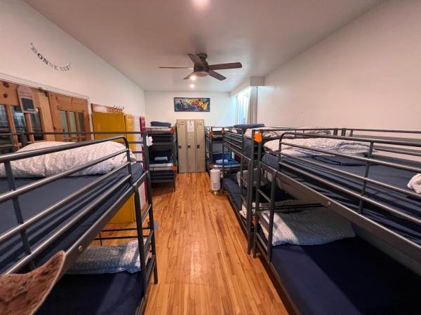 Auberge PVT Hostel : photo 3 de la chambre lit simple dans dortoir de 10 lits