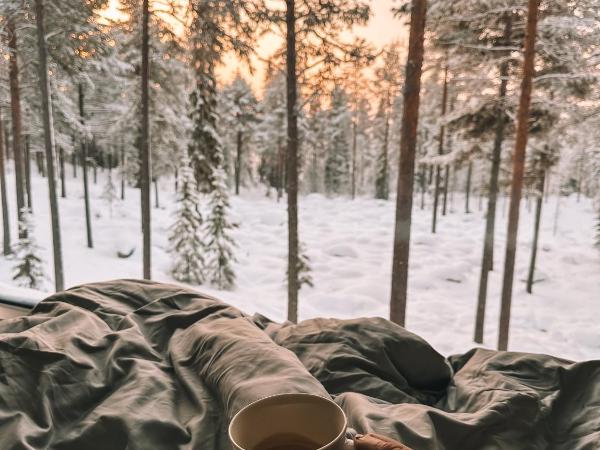 Invisible Forest Lodge : photo 1 de la chambre chambre double