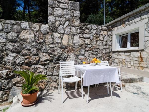 Apartments & Rooms Tapera : photo 2 de la chambre appartement 1 chambre confort avec terrasse - vue sur jardin