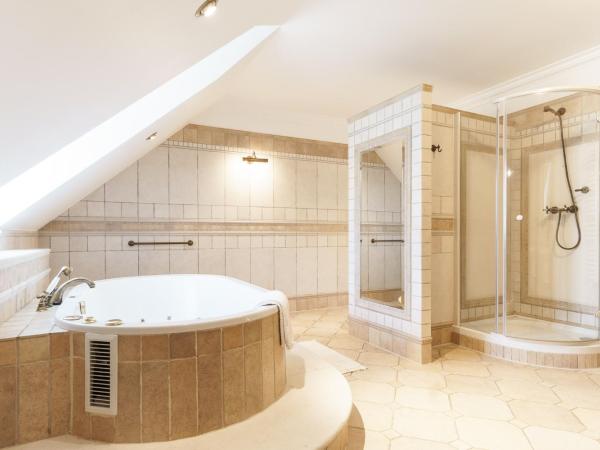 Apartamenty w Dworku Cheval : photo 5 de la chambre appartement deluxe