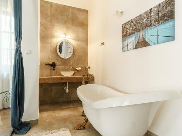 Apartamenty w Dworku Cheval : photo 3 de la chambre appartement deluxe