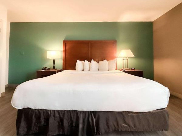 Comfort Inn & Suites Kissimmee by the Parks : photo 3 de la chambre chambre lit king-size deluxe avec canapé-lit