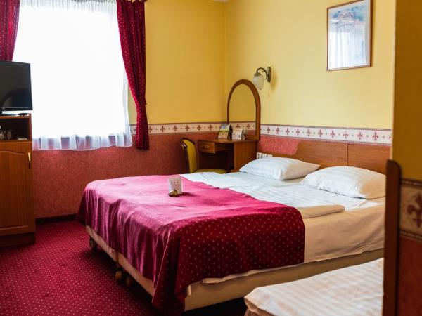 Hotel Korona Wellness, Rendezvény és Borszálloda : photo 2 de la chambre chambre double ou lits jumeaux standard