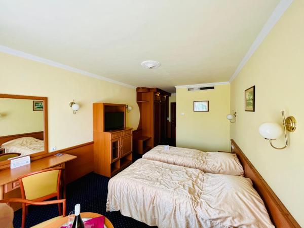 Hotel Korona Wellness, Rendezvény és Borszálloda : photo 3 de la chambre chambre double ou lits jumeaux supérieure avec vue sur ville