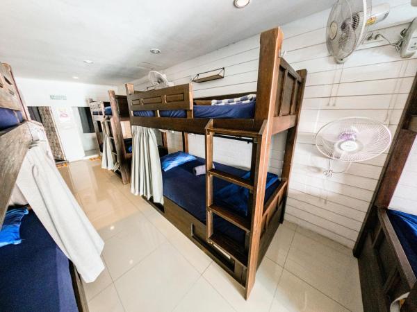 Back Home Backpackers : photo 6 de la chambre lit dans dortoir mixte de 10 lits