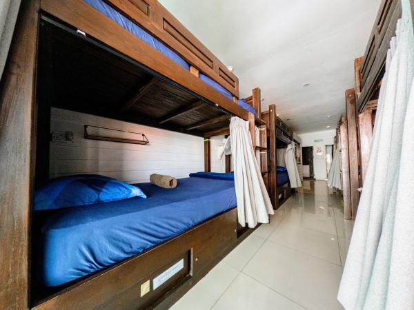 Back Home Backpackers : photo 2 de la chambre lit dans dortoir mixte de 10 lits