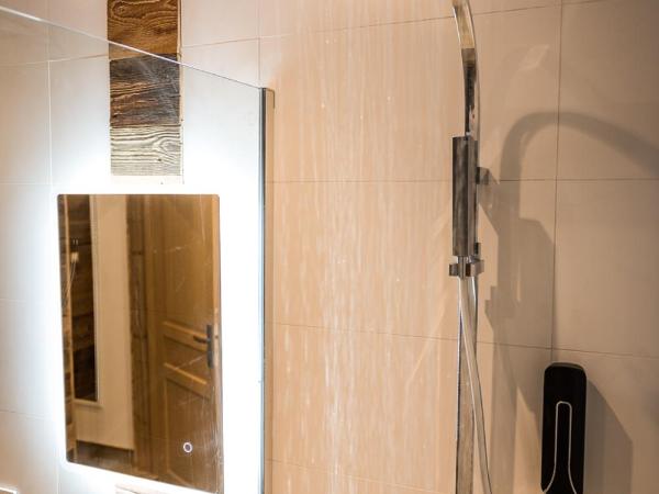 Nant Morzine : photo 1 de la chambre appartement 1 chambre