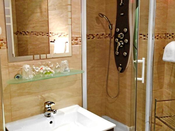 Hotel Saint-Aignan : photo 4 de la chambre chambre double